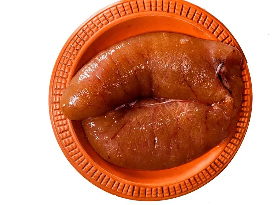 Boal Egg — frozen Boal