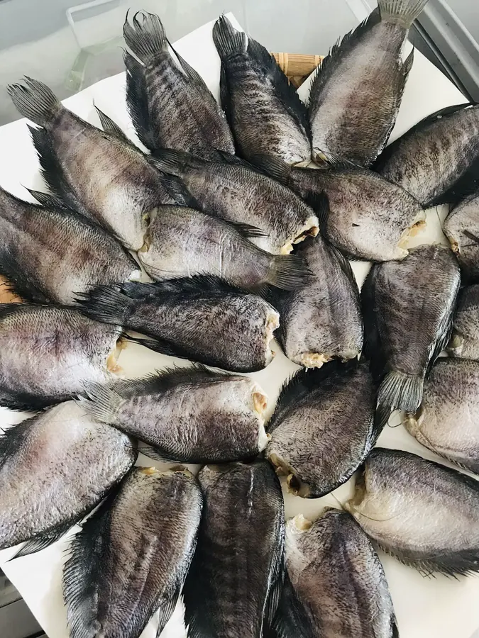 Gourami Block