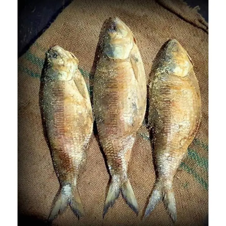 Hilsa Salted — frozen Hilsa