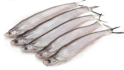 Kajoli Block Whole — frozen Kajoli