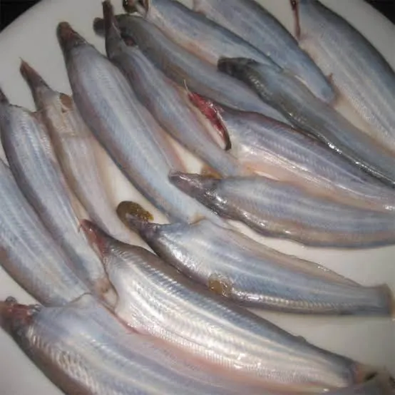 Kajoli IQF — frozen Kajoli